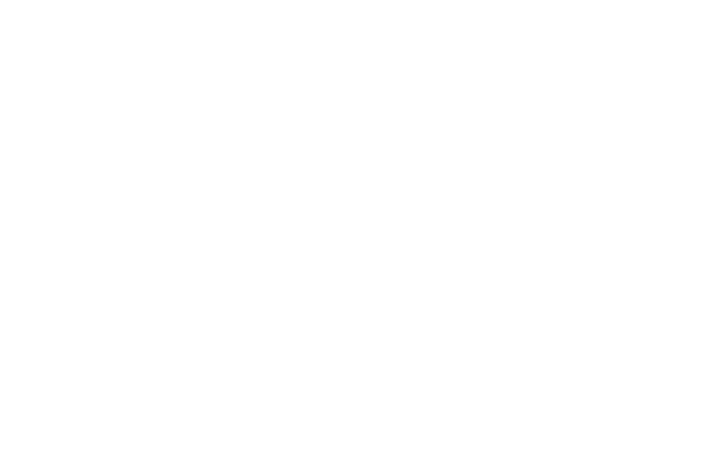 White logo